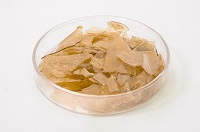 脫蠟脫色蟲(chóng)膠片3.jpg